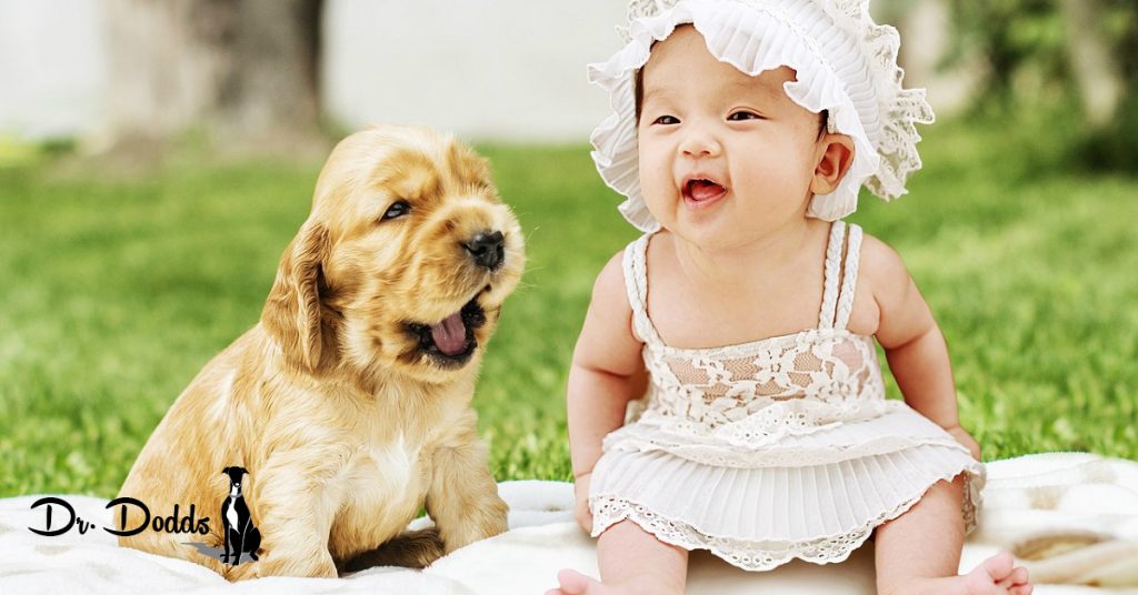 Studies Show Pets Protect Children from Allergies and Obesity